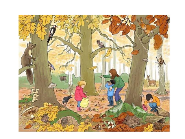 Herfst: Woordenschat by Marieke Vaessen