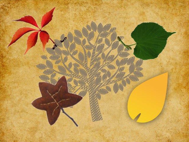 Herfst en halloween by Eva Smit