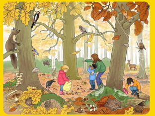 Herfstpuzzel - test by Bert Raes