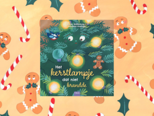 Het kerstlampje dat niet brandde by helga Smets