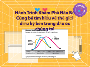 Hành Trình Khám Phá Não Bộ by Theresa Le