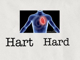 Homofonen by Annette Roordink