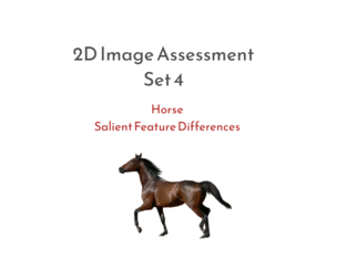 Horse 2D Image Assessment Set 4 Salient Feature Differences by Amy Shepherd