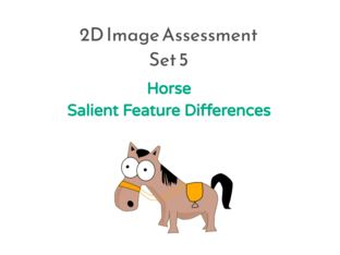 Horse Set 5 2D Image Assessment Salient Feature Differences by Amy Shepherd