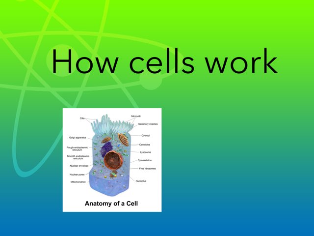 How Cells Work  by hx5 cari