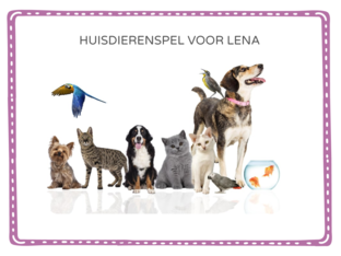 Huisdieren by Ben Vdb