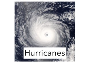 Hurricane  by Malorie Stuckey