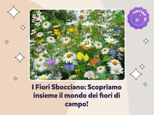 I Fiori di campo by Maria Concetta Guida