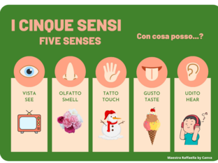 I cinque sensi (italiano e inglese) by Raffaella Cordisco