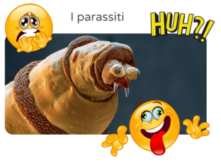 I parassiti by Francesco Tanisi