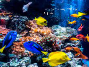 I spy with my little eye by James Briant