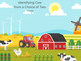 Identifying Cow From a Choice of 2 by Angela Muirhead