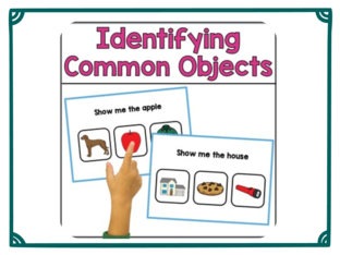 Identifying Objects pt:1 by 