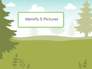 Identifying Pictures by Danae D