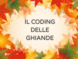 Il coding delle ghiande by Irene Giaconi