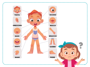 Il corpo umano by Matteo Caviglioni