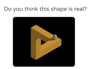 Impossible and Optical Illusions by HARSHAVARDHAN RAGHUNANDAN