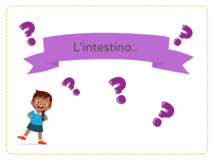 Indovina le parti dell'intestino.. by AURORA FAVI