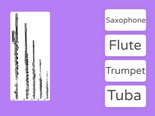 Instrument Matching by Blasi Georgianna