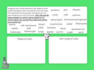 Is it made of cells? by Kathryn Bloomberg