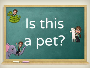 Is this a pet? by Mara Mahoney