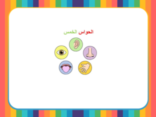 Isra by Isra Qutteineh