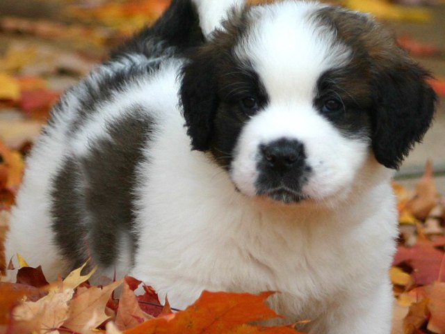 JT by Joanne Troutner