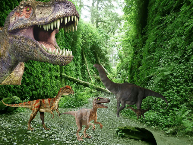 Jaylen by Jaylen Hayden