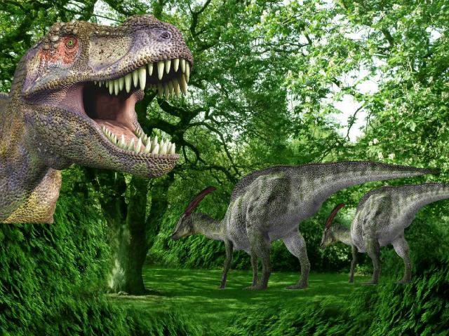 Jaylen by Jaylen Hayden