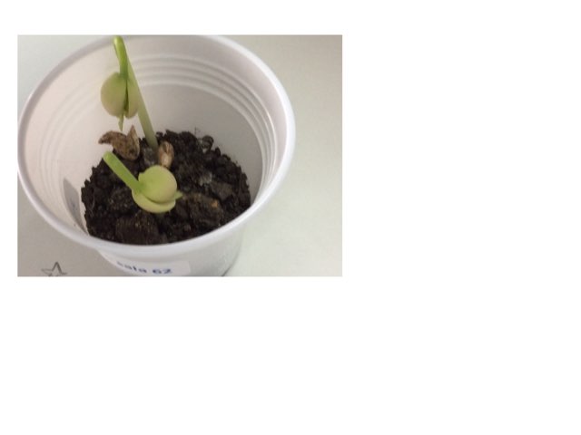 Jogo 2 by Kamila gomes