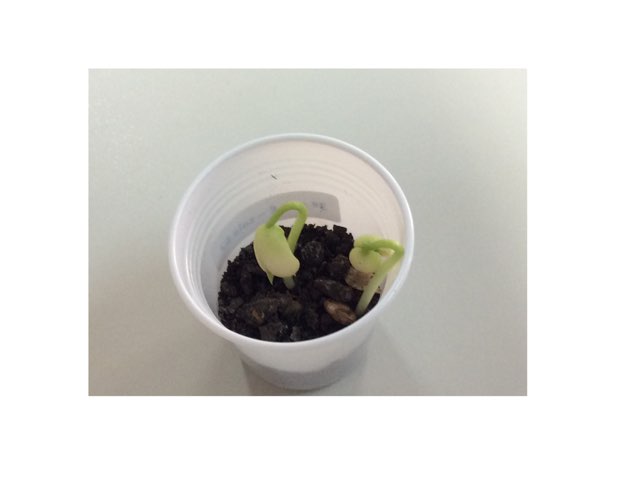 Jogo 2 by Kamila gomes