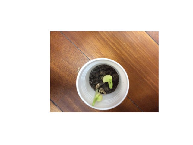 Jogo 4 by Kamila gomes