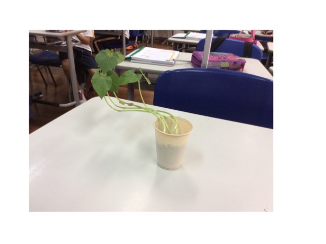 Jogo 4 by Kamila gomes