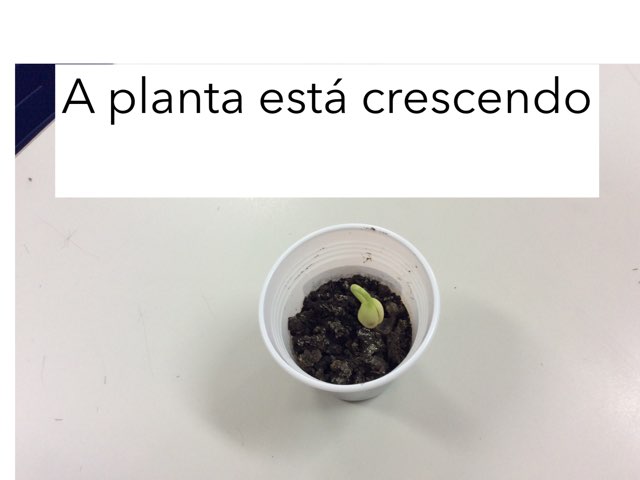 Jogo 5 by Kamila gomes