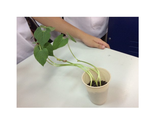 Jogo 7 by Kamila gomes