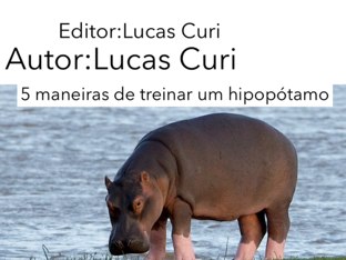 Jogo 8 by Gabriel Farid Garcia Curi