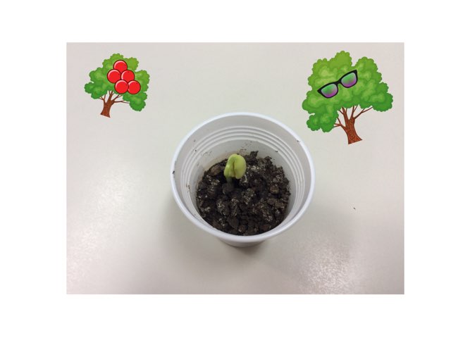 Jogo 9 by Kamila gomes