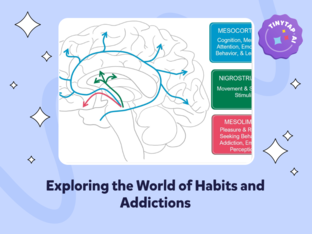 Journey Through Habits and Addictions by Elif Erguvan