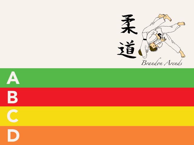 Judo kennis level 1 by Brandon Arends