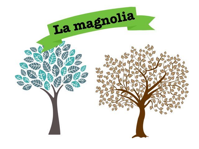 Juego de la magnolia
 by Carlota Beltrán