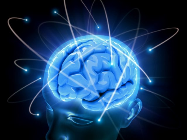 Las partes del cerebro by Beatriz Mascuñano