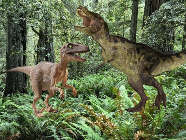 Ydgftxfttfxxx by Alex sanchez