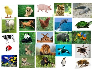 Tablero de vocabulario animales
 by Carmen Alberto
