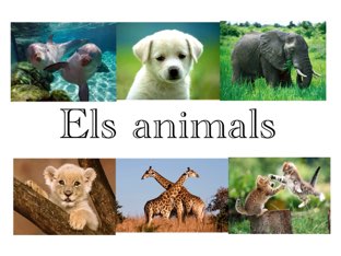 Es una presentació dels animals
 by Alona yefimova terebenets