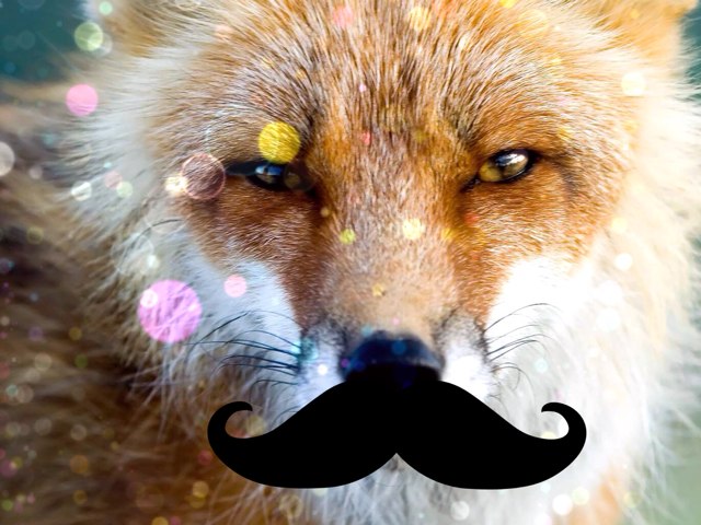 Asistí si by Manu Villamil