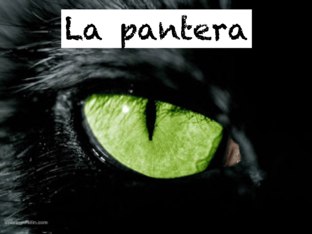 Benjamín y Máxima
 by Vale Peraldi