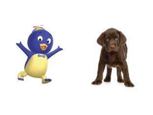 Sustantivos receptivo Andrés  by Rocío Pérez