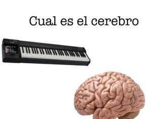 Descubre algunas partes del cuerpo con un juego. by Juan Jimenez