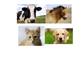 Como hacen los animales
 by Mishel Lvy