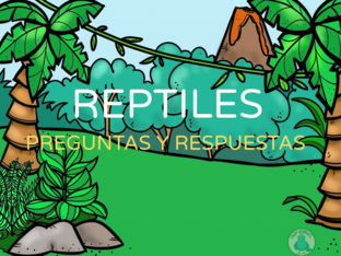 Juego reptiles by ofelia Garcia